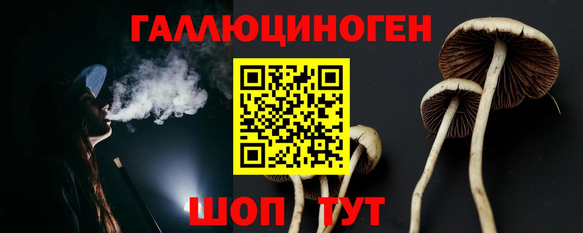 Обь  Псилоцибиновые грибы GOLDEN TEACHER  Вход с VPN 